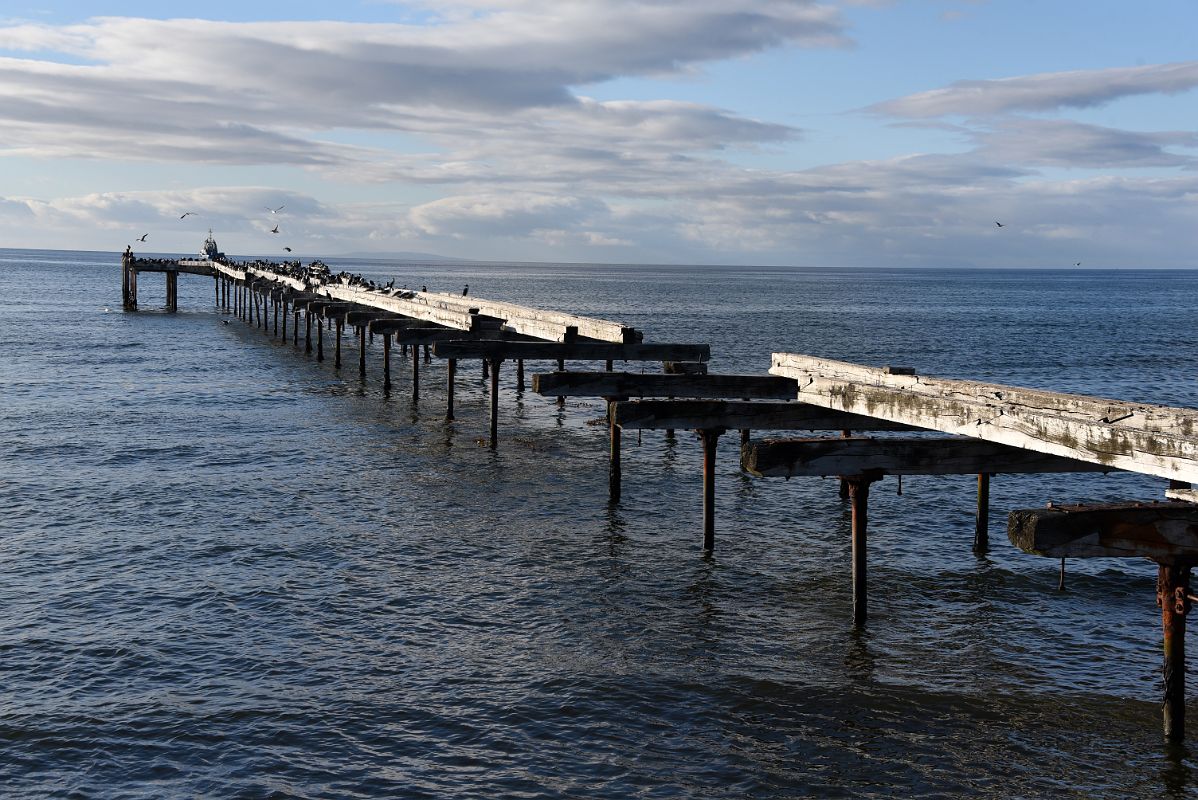 08C Muelle Loreto Pier Was Once Used For Shipment Of Coal But Now Has Many Birds On Waterfront Area Of Punta Arenas Chile